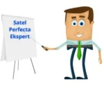 szkolenie online satel perfecta ekspert